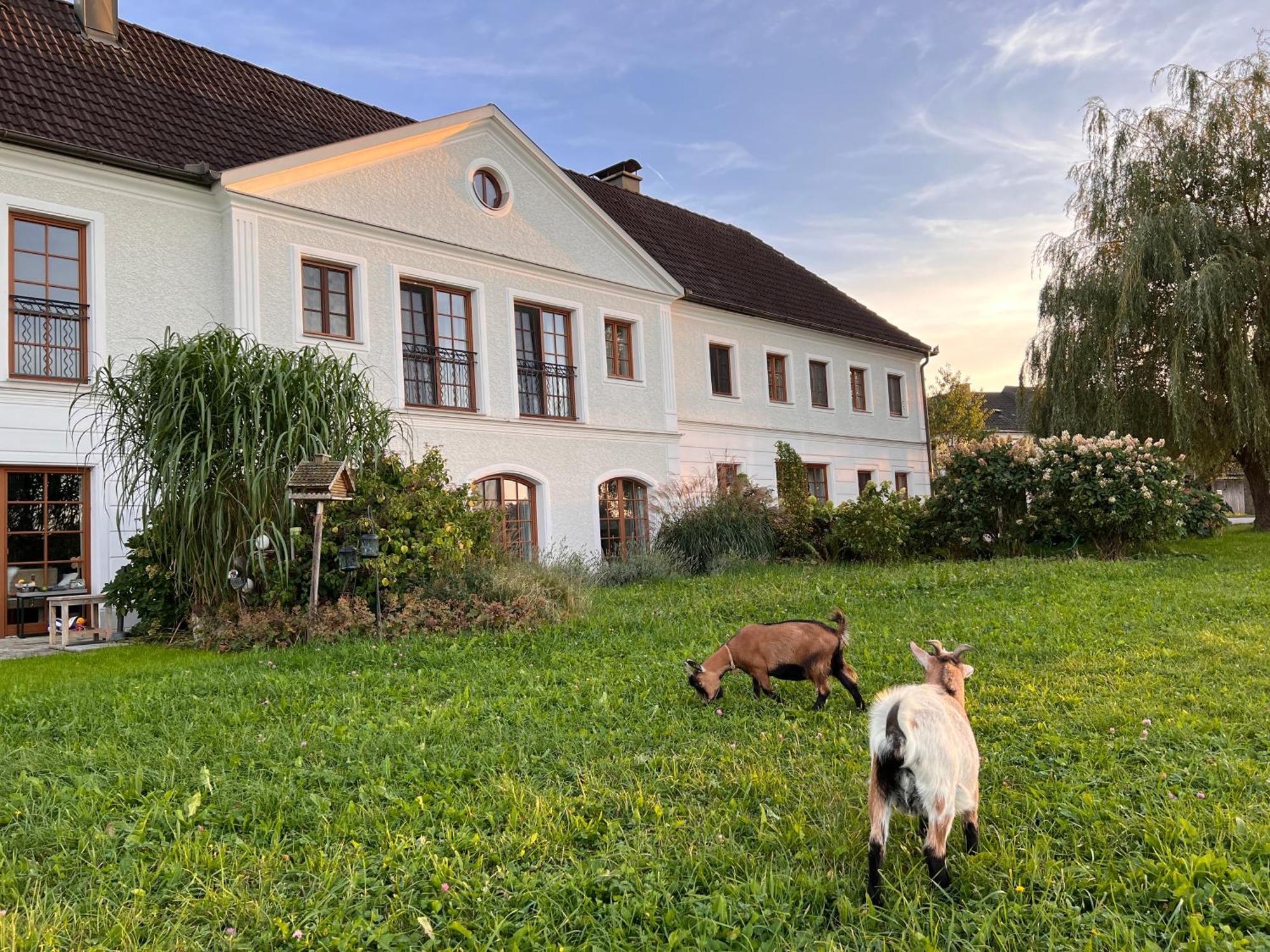 Landhaus Aigner Allhartsberg Eksteriør billede